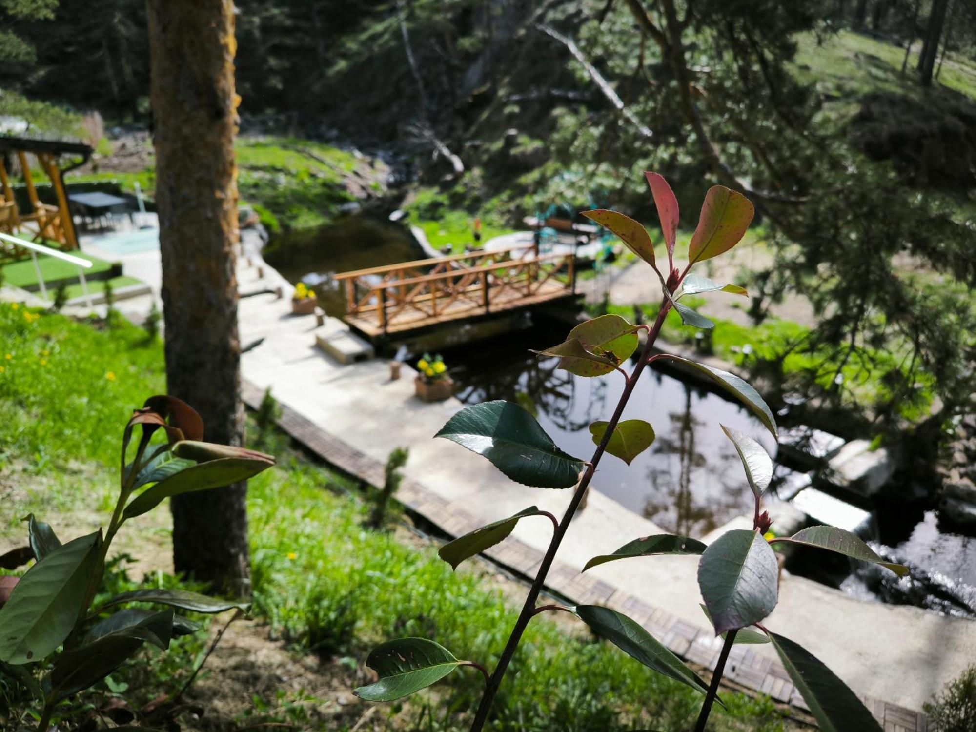Vila Pogled Wellness I Spa Divcibare Exterior photo
